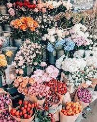 This Brings Me So Much Joy Who Doesn T Love Bright Fresh Flowers Pretty Flowers Flower Aesthetic Beautiful Flowers