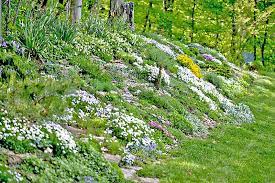 See more ideas about hillside garden, garden, landscape design. 12 Hillside Landscaping Ideas To Maximize Your Yard