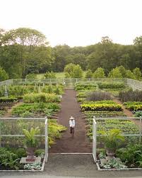 Cantitoe Corners Martha S Vegetable Garden Vegetable Garden Design Outdoor Gardens Vegetable Garden