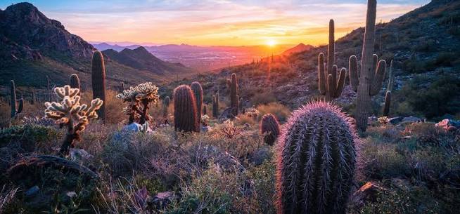 The best time to visit Arizona: a month-by-month guide