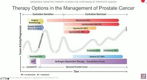 A new treatment for advanced prostate cancer improves survival in phase 3 clinical trial july 12, 2021. Androgen Targeted Therapy Across The Continuum Of Prostate Cancer