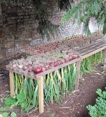 21 Geniale Gartenideen Fur Wenig Geld Garten In 2020 Farm Gardens Plants Veggie Garden