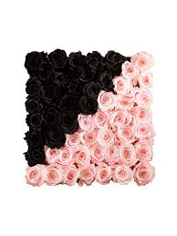 images?q=tbn:ANd9GcQVOwqSqmxYzdmJfM1SFSLgIe7luwsNgmrfBZiNw9OITfOqH7Ggqw