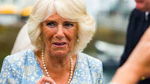 Royal Author Claims Queen Camilla's Relationship With Prince William's  Children Isn't What We Expected