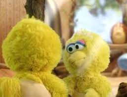 Baby Big Bird Scratchpad Iii Wiki Fandom