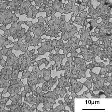Alloy steels are normally case hardened to increase the metal characteristics. Microstructure Of The Hardened Steel Austenitising Temperature 1050 8c Download Scientific Diagram