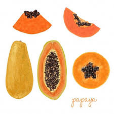 Download Hand Drawn Delicious Papaya For Free Fruit Illustration Fruits Drawing Papaya Art