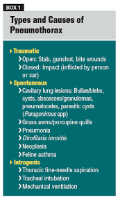 Spontaneous pneumothorax is further classified into primary pneumothorax and secondary pneumothorax. Pneumothorax Vetfolio