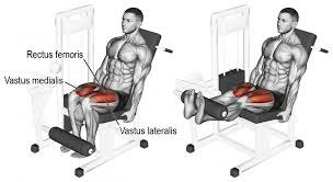 Comment Effectuer L Exercice Leg Curl En Musculation Musculation Musculation Jambes Musculation Cuisse