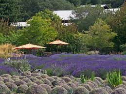 Maybe you would like to learn more about one of these? Matanzas Creek Winery Sonomacounty Com