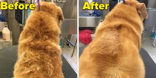 These properties make the coffee machine descalers very powerful cleansers with the ability to break up items such as dirt, oils, and greases found in clothes. 22 Dog Product With Pawsome Before And After Photos