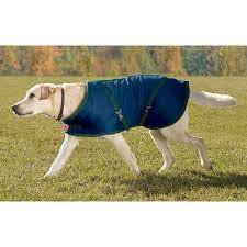 Lastly, there's the horse blanket. Rider S International By Dover Saddlery Fleece Lined Dog Blanket Dover Saddlery