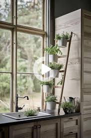 Ikeas Februar Neuheiten Satsumas Falsterbo Indoor Pflanzen Dekor Pflanzenregale Hangepflanzen Zimmer