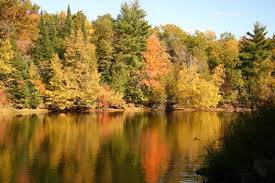 Maybe you would like to learn more about one of these? 2019 Wisconsin Fall Color Report