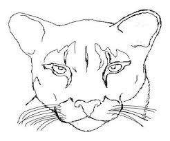 Supercoloring.com is a super fun for all ages: Mountain Lion Coloring Page Coloring Home