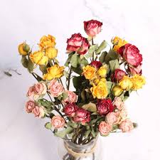 Buy dried flowers on alibaba.com when making attractive decorations that last a long time. Tooget Natural Rose Dried Flowers Rose Bouquet Bundles Real Freshly Harvested Dry Flower Bunch Diy Crafts Gift Arrangements And Decorate For Desktop Living Room Coffee Store Wedding Mixed Color Buy Online In