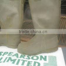 Image result for Voacanga pachyceras