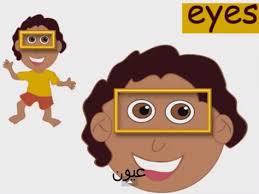 بعض الصور للمنشآت الهندسية والطرق. ØªØ¹Ù„ÙŠÙ… Ø§Ø¹Ø¶Ø§Ø¡ Ø¬Ø³Ù… Ø§Ù„Ø§Ù†Ø³Ø§Ù† Ø¨Ø§Ù„Ø§Ù†Ø¬Ù„ÙŠØ²ÙŠØ© Ù„Ù„Ø·ÙÙ„ ÙÙŠØ¯ÙŠÙˆ