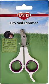 Like humans, guinea pig nails keep on growing their entire lives. Kaytee Small Animal Pro Nail Trimmer 6 25 In Chewy Com