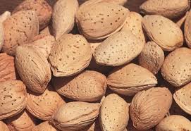 halls hardy almond