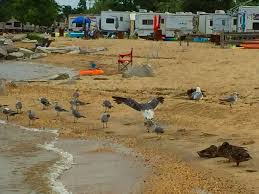 We did not find results for: Breezy Point Beach Campground 5300 Breezy Point Rd Chesapeake Beach Md 20732 Usa
