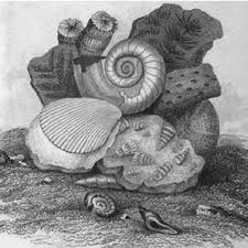 Medals of Creation.' Maria Hack copied this sketch from a small part...