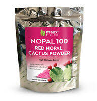 They are easily propagated from stem segments. Freeze Dried Cactus Nopal Cactus Spineless Ebay