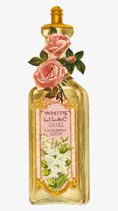 Mcconnell, a book salesman, began giving away small vials of perfume to customers in an attempt to increase interest and sales of his books. Vintage Perfume Bottle Image Downloads Perfume Bottle Vintage Png Image Transparent Png Free Download On Seekpng