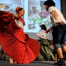 Image result for Ozoroa kassneri