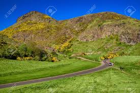 Check spelling or type a new query. Arthur S Seat Hill In City Edinburgh Scotland Yellow Flowers Stock Photo Picture And Royalty Free Image Image 114577635