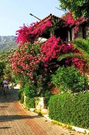 Places Near Me Fun Things To Do Near Me Beautiful Places Beautiful Places To Visit Places To Travel