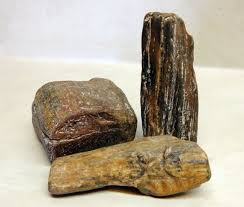 3 Beautiful Pieces Of Petrified Wood Rocks Fossilized Wood Etsy Petrified Wood Fossilized Wood Beautiful