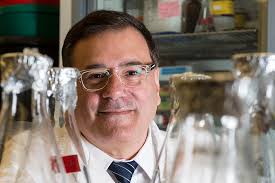 Wright State Newsroom