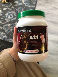 هذا سيريلاك لاطعام الطيور حديثة الولادة الي بلصورة يستخدم للبادجي وطيور الحب Prebiotics Digestion Enzymes
