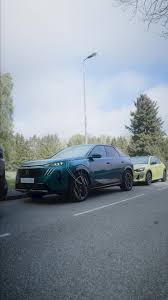 Image result for Brown Squirrel 2014 Peugeot