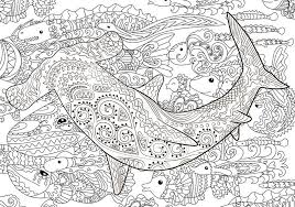 Flower adult, mandala, zentangle, advanced, hard, color by number for adults, christmas adults. Adult Coloring Shark Stock Illustrations 117 Adult Coloring Shark Stock Illustrations Vectors Clipart Dreamstime