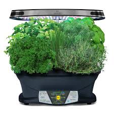 Is it possible to grow weed in an aerogarden? Miracle Gro Aerogarden Extra Led With Gourmet Herb Seed Pod Kit Walmart Com Walmart Com