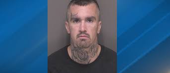 Sheriff: Man arrested after he's talked down from tree following a pursuit