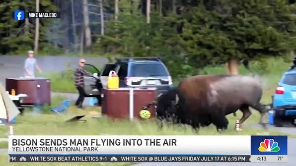 A shocking scene caught on camera unfolded in Yellowstone National Park,  when a giant bison chased a man and sent him flying through the air. ,  WARNING: The video is graphic. Watch at your own risk.