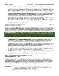 c level resume examples resume