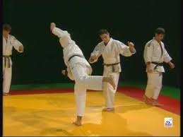 Judo Le Perfectionnement D Uchi Mata 1 Learn Krav Maga Judo Martial Arts