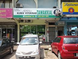 Klinik pergigian subang no.90a, jalan besar, kg. Sold Here Klinik Veterinar Powercat Selangor Kl ÙÙŠØ³Ø¨ÙˆÙƒ