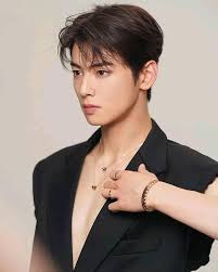 Cha Eun Woo   International 