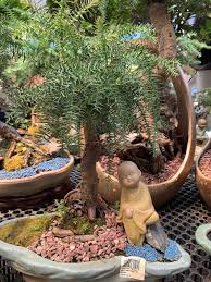 Ready made water feature/ waterfall malaysia 2017. Anak Pakcik Mally Spend Time Weekend Di Nursery Kusta Sungai Buloh