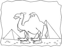 Desert (sonoran) coloring page animal coloring pages, coloring for kids, coloring sheets. Desert Animals Coloring Pages