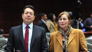 Since 5 november 2020 he has served as the party's president. Mario Delgado Es El Mejor Perfil Para Dirigir A Morena Tatiana Clouthier