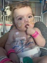 Madison Whipple Obituary