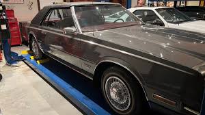 Image result for Heather Mist 1982 Dodge