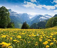 We did not find results for: The Alps Switzerland All Time Dream Place To Visit Scenery Wallpaper Mountain Landscape Natural Scenery