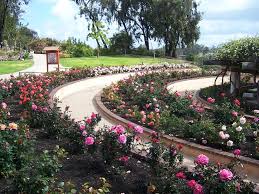 Garden Resources Balboa Park Rose Garden Organic Gardening Tips Organic Gardening Gardening For Beginners